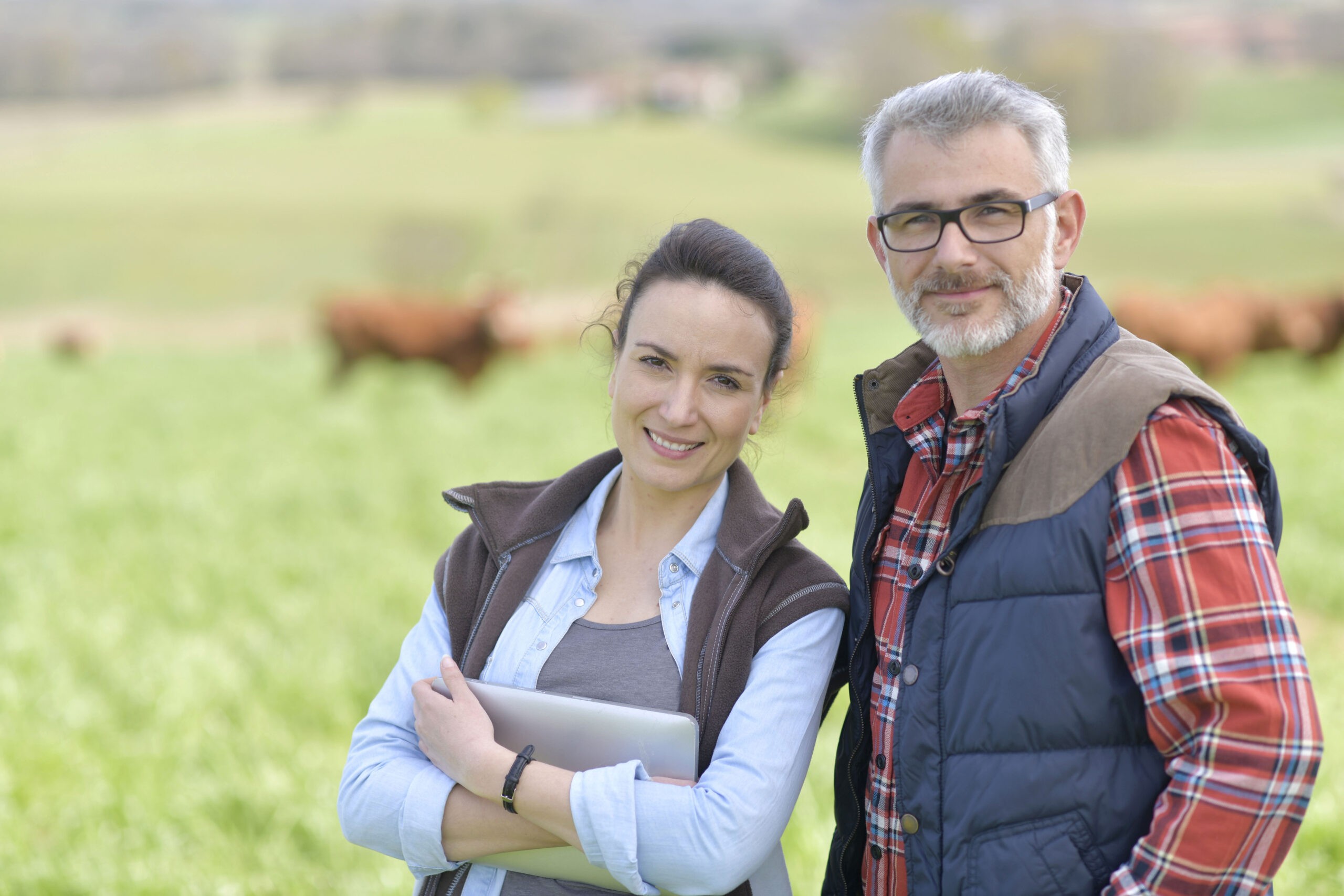 Couple of stock breeders using tablet in field